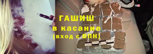 spice Богданович
