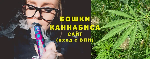 spice Богданович
