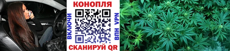 Каннабис конопля  цены   Клинцы 
